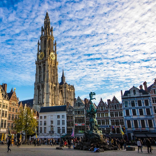 Card Grid Antwerpen